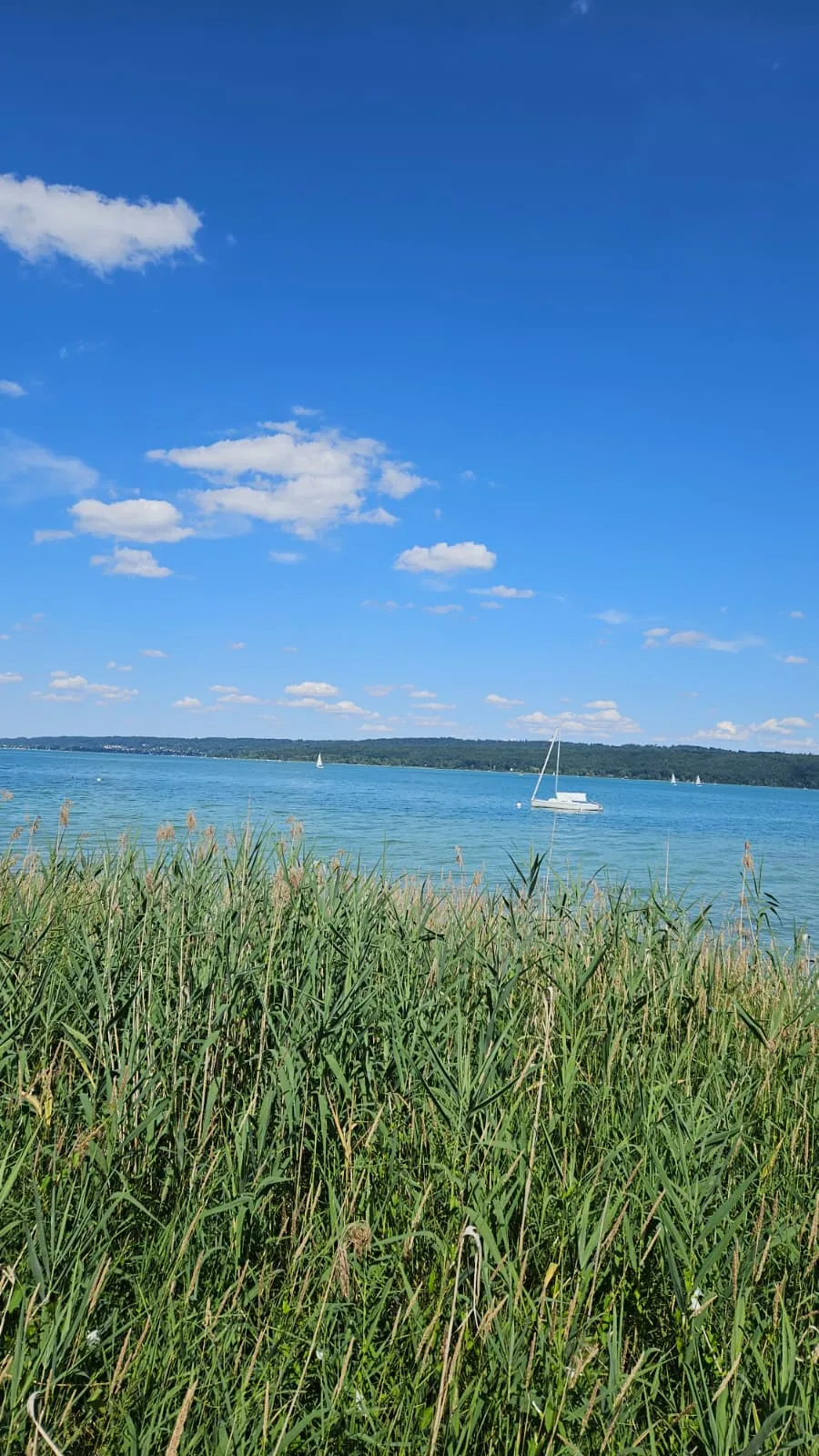 Foto 1 zur Tour Gravel Quickie Ammersee