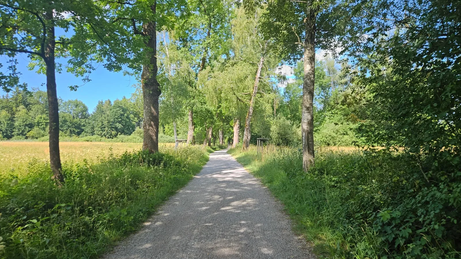 Foto 2 zur Tour Gravel Quickie Ammersee