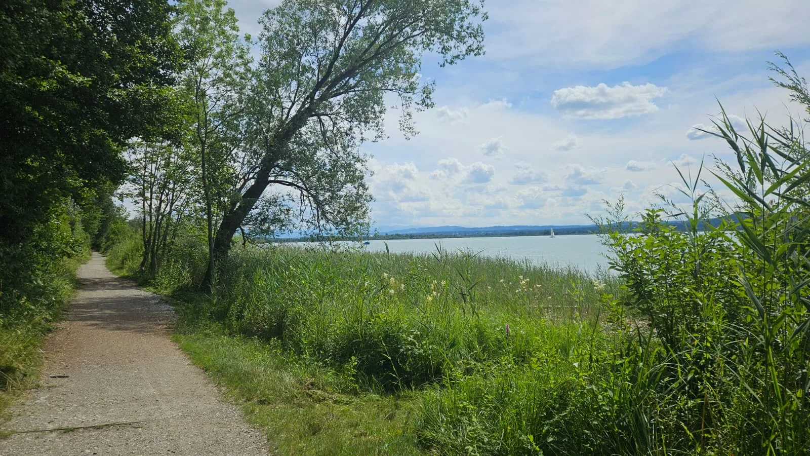 Foto 7 zur Tour Gravel Quickie Ammersee