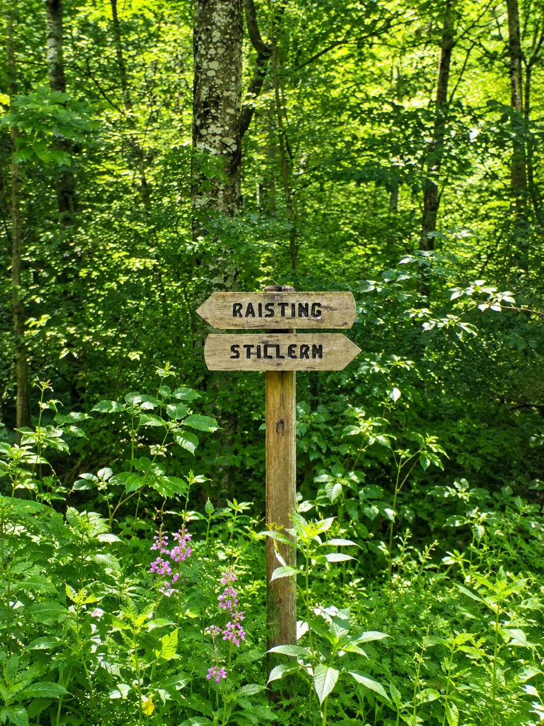 Foto 3 zur Tour Off the Grid South-West