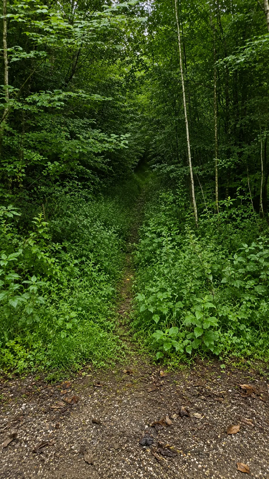 Foto 4 zur Tour Off the Grid South-West