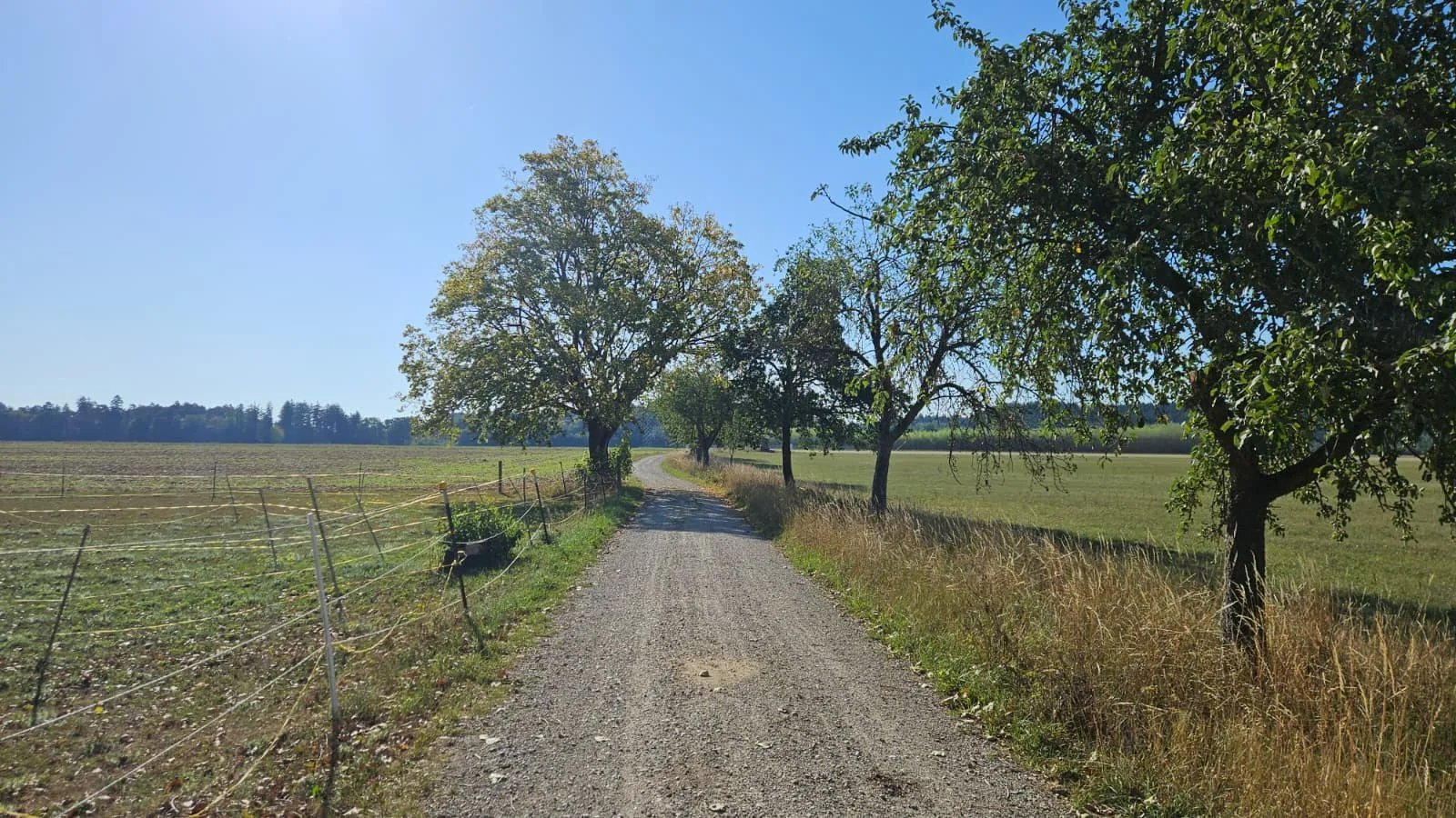 Foto 2 zur Tour 5 Lakes Gravel Loop