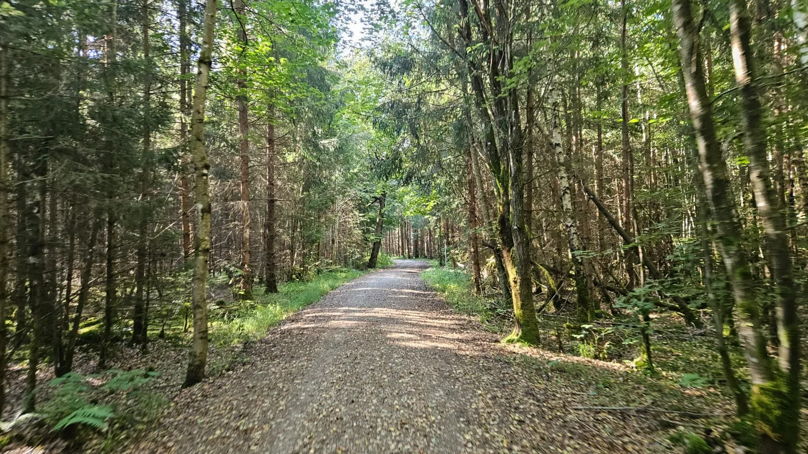 Foto 4 zur Tour 5 Lakes Gravel Loop