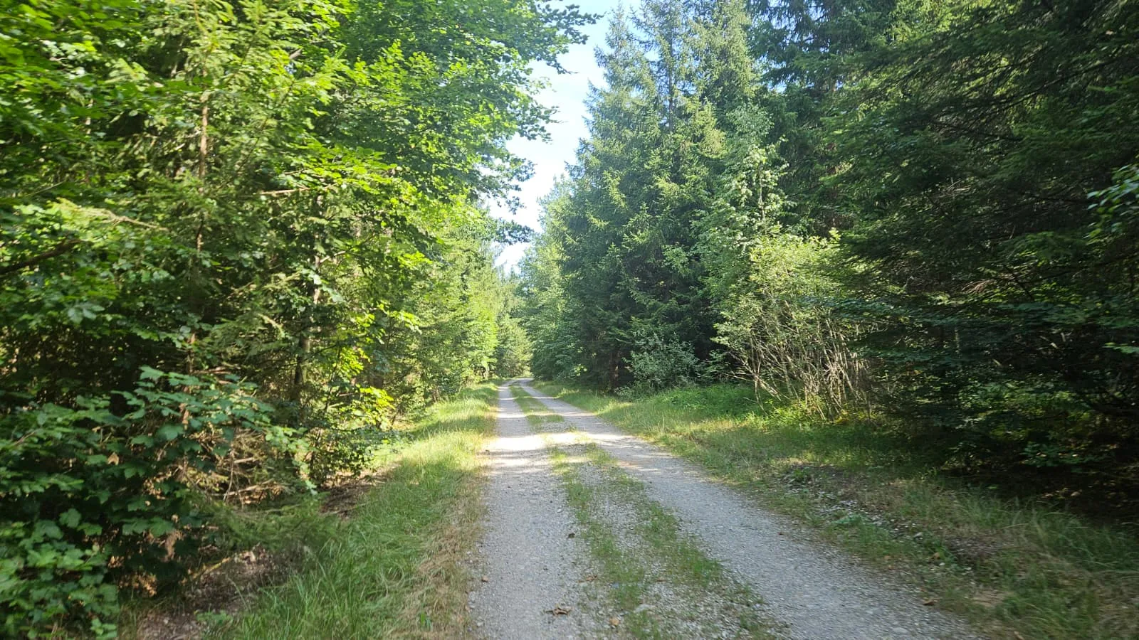 Foto 8 zur Tour 5 Lakes Gravel Loop